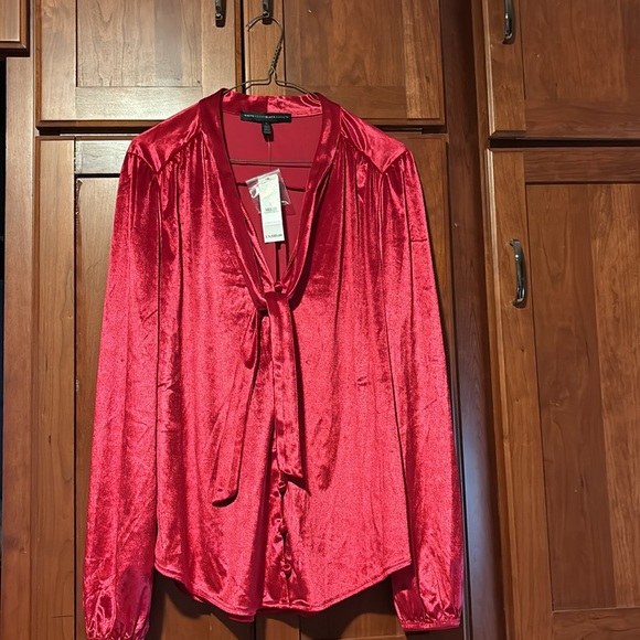 Women’s red button down blouse. Size L. Great for Valentine’s. - Picture 3 of 8